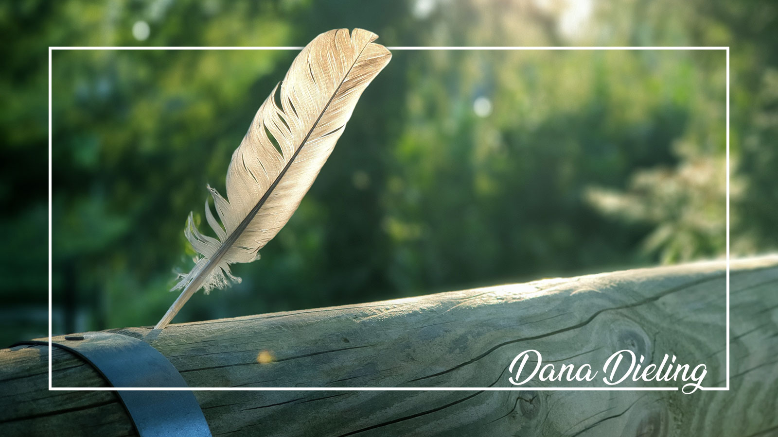 hochsensibilität coaching